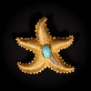Gouden zeester broche of hanger