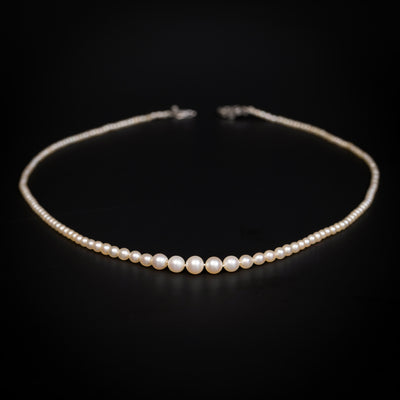 Antique pearl necklace in original case - #1