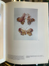 Vlinderbroche met vensteremail
