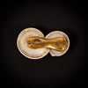 Antieke broche met schelpen van zeeslak