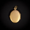 Gouden medaillon met robijn