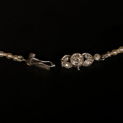 Antique pearl necklace in original case - #3