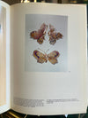 Vlinderbroche met vensteremail