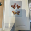 Butterfly brooch with translucent enamel - #2
