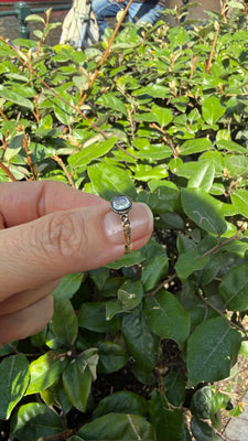 18e eeuwse herinneringsring met diamant - #7